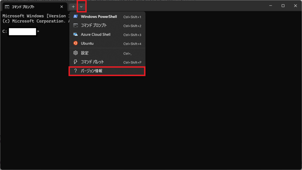 Windows Terminalでバージョンを確認するやり方を解説